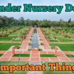 Sunder Nursery