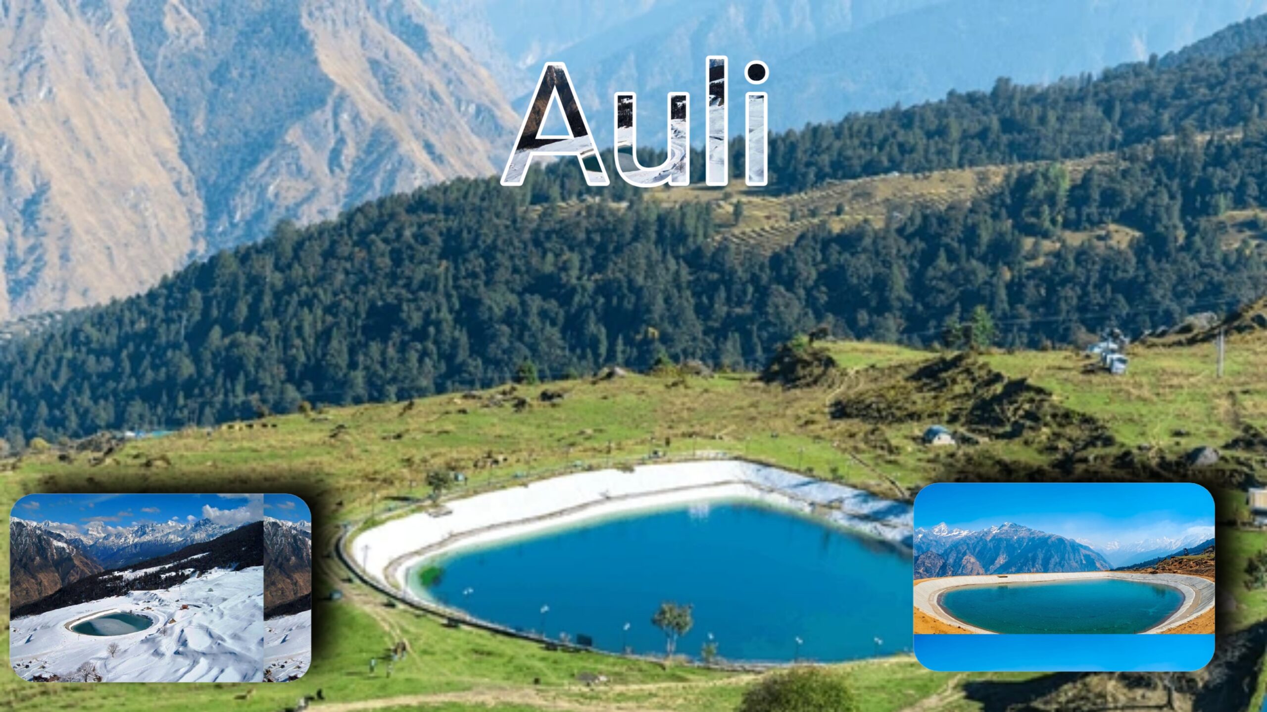 Auli