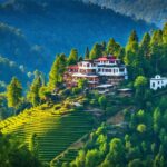 Ranikhet