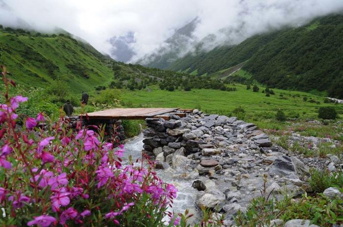 Nanda devi national park