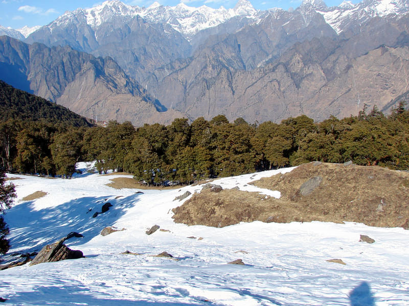 Auli