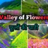 Valley of flowers